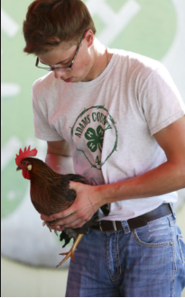 Poultry show tests 4-H’ers knowledge